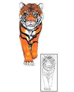 Tiger Tattoo Animal tattoo | KRF-00002