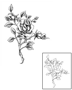 Rose Tattoo Plant Life tattoo | KRF-00019