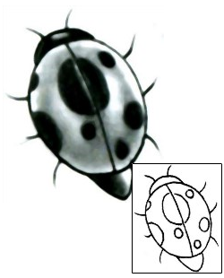 Ladybug Tattoo Insects tattoo | PKF-00034