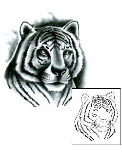 Tiger Tattoo Animal tattoo | PKF-00049