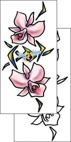 Orchid Tattoo plf-02103