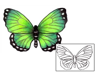 Butterfly Tattoo Insects tattoo | PVF-00384