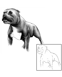 Dog Tattoo Leonard Pit Bull Tattoo