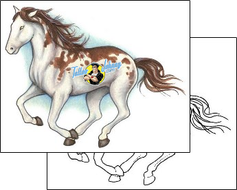 Horse Tattoo animal-horse-tattoos-shane-hart-s1f-00102