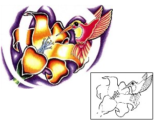Hummingbird Tattoo Animal tattoo | SCF-00416
