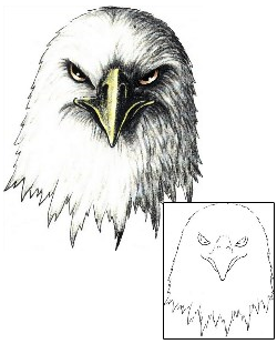 Eagle Tattoo Animal tattoo | SCF-00442