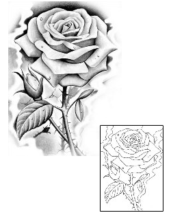 Rose Tattoo Plant Life tattoo | SIF-00039