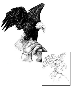 Eagle Tattoo Animal tattoo | SOF-00460