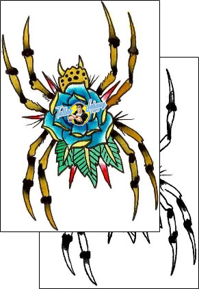 Spider Tattoo insects-spider-tattoos-shaun-hanna-sqf-00016
