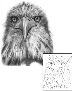 Eagle Tattoo Animal tattoo | TFF-00002