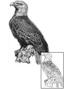 Eagle Tattoo Animal tattoo | TFF-00005