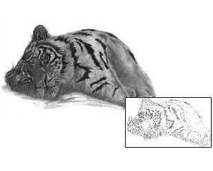 Tiger Tattoo Animal tattoo | TFF-00032