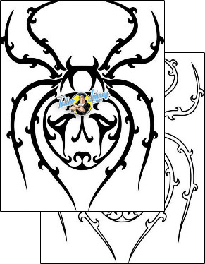 Spider Tattoo insects-spider-tattoos-tony-shark-tnf-00261