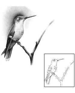 Bird Tattoo Animal tattoo | TPF-00052