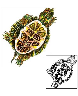Turtle Tattoo Reptiles & Amphibians tattoo | WHF-00061