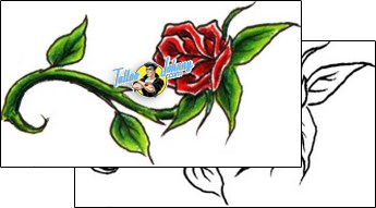 Rose Tattoo plant-life-rose-tattoos-don-furbush-dhf-00300