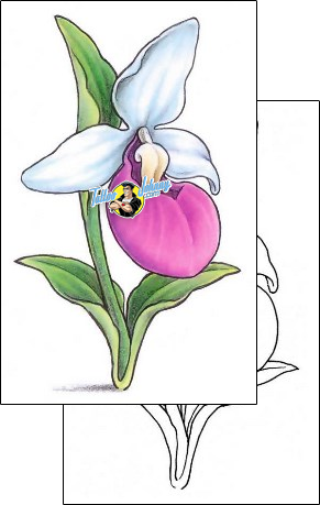 Flower Tattoo lady-slipper-tattoos-gail-somers-gsf-01251