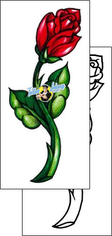 Flower Tattoo plant-life-flowers-tattoos-andrea-ale-aaf-00877