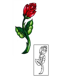 Picture of Plant Life tattoo | AAF-00877