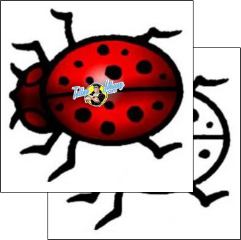 Ladybug Tattoo insects-ladybug-tattoos-andrea-ale-aaf-04343
