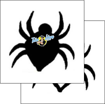 Spider Tattoo insects-spider-tattoos-andrea-ale-aaf-06054