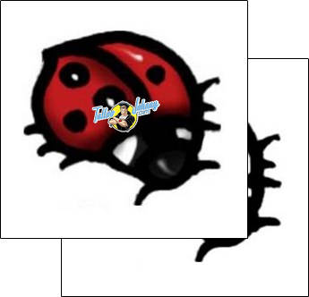 Ladybug Tattoo insects-ladybug-tattoos-andrea-ale-aaf-06134