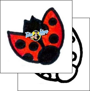 Ladybug Tattoo insects-ladybug-tattoos-andrea-ale-aaf-08571