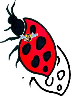 Ladybug Tattoo insects-ladybug-tattoos-andrea-ale-aaf-08646