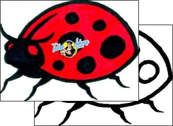 Ladybug Tattoo insects-ladybug-tattoos-andrea-ale-aaf-08664