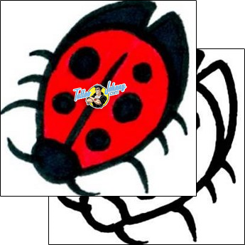 Ladybug Tattoo insects-ladybug-tattoos-andrea-ale-aaf-08672