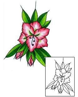 Picture of AAF-11491