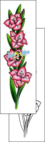  Tattoo aaf-11568