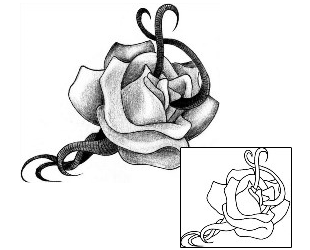 Rose Tattoo Rose Worm Tattoo