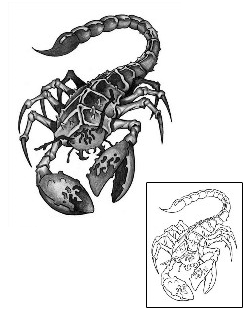 Scorpio Tattoo Zodiac tattoo | ANF-00067