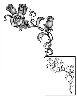 Rose Tattoo Plant Life tattoo | ANF-00208