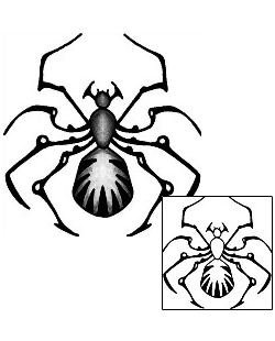 Spider Tattoo Tattoo Styles tattoo | ANF-00422