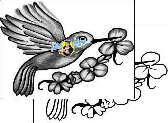Bird Tattoo animal-bird-tattoos-anibal-anf-02067