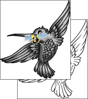 Bird Tattoo animal-bird-tattoos-anibal-anf-02070