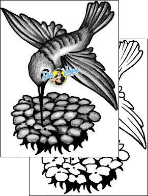 Bird Tattoo animal-bird-tattoos-anibal-anf-02097