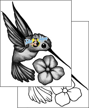Bird Tattoo animal-bird-tattoos-anibal-anf-02106