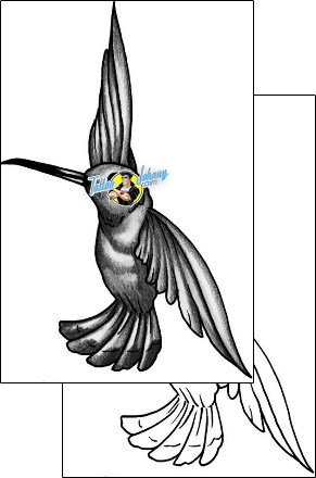 Bird Tattoo animal-bird-tattoos-anibal-anf-02129