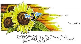 Sunflower Tattoo plant-life-sunflower-tattoos-adam-puckett-apf-00052