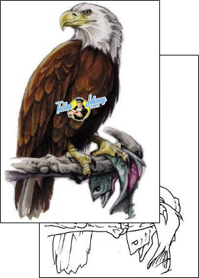 Eagle Tattoo animal-eagle-tattoos-adam-puckett-apf-00080