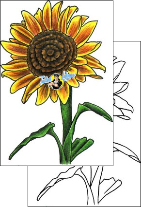 Sunflower Tattoo plant-life-sunflower-tattoos-stacie-becker-aqf-00007
