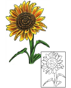 Sunflower Tattoo Plant Life tattoo | AQF-00007