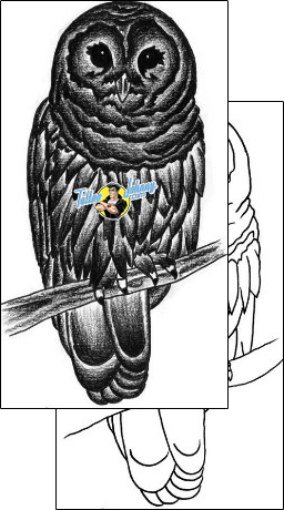 Bird Tattoo animal-bird-tattoos-stacie-becker-aqf-00022