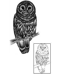 Owl Tattoo Animal tattoo | AQF-00022