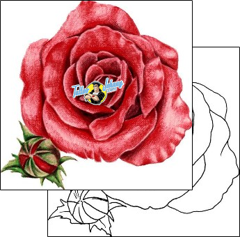 Flower Tattoo plant-life-flowers-tattoos-andrew-sussman-auf-00038
