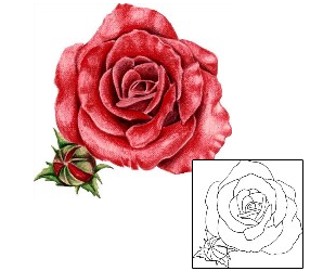 Rose Tattoo Plant Life tattoo | AUF-00038