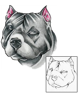 Pit Bull Tattoo Grizzle Pit Bull Tattoo